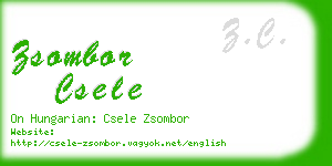 zsombor csele business card